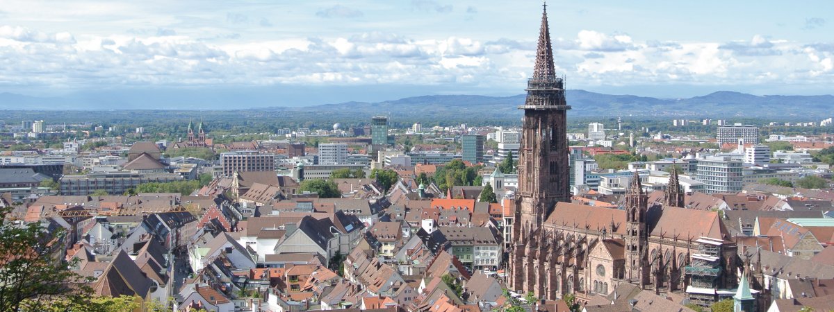 Blick auf Freiburg mit Münster © pixabay.com/AshLM