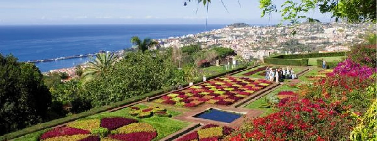 Blumenisel Madeira Portugal