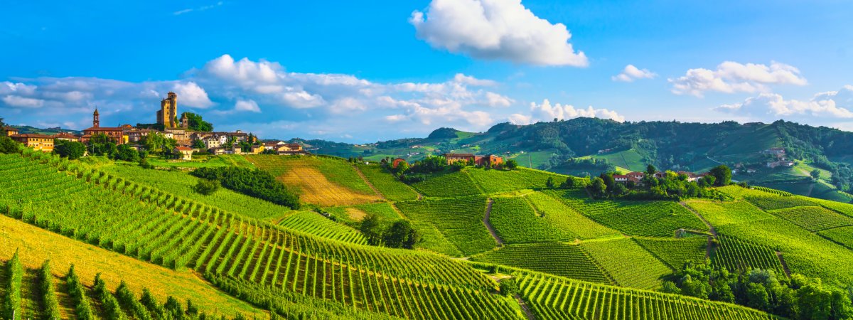 Weinberge in Serralunga d'Alba © stevanzz-fotolia.com