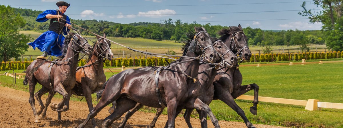 Pferdevorführung in Csarda