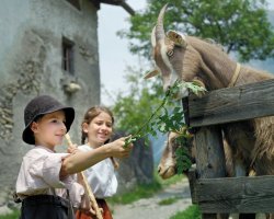  © Ferienregion Heidiland/swiss-image.ch/Gaudenz Danuser