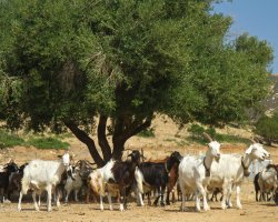  &copy; lsantilli-shutterstock.com/2013