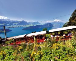  &copy; suteracher-stock.adobe.com