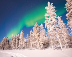  © Delphotostock - stock.adobe.com
