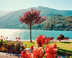  &copy; Roman Babakin - stock.adobe.com