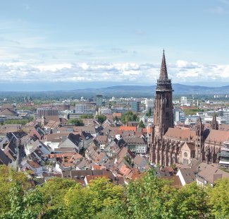 Blick auf Freiburg mit Münster &copy; pixabay.com/AshLM